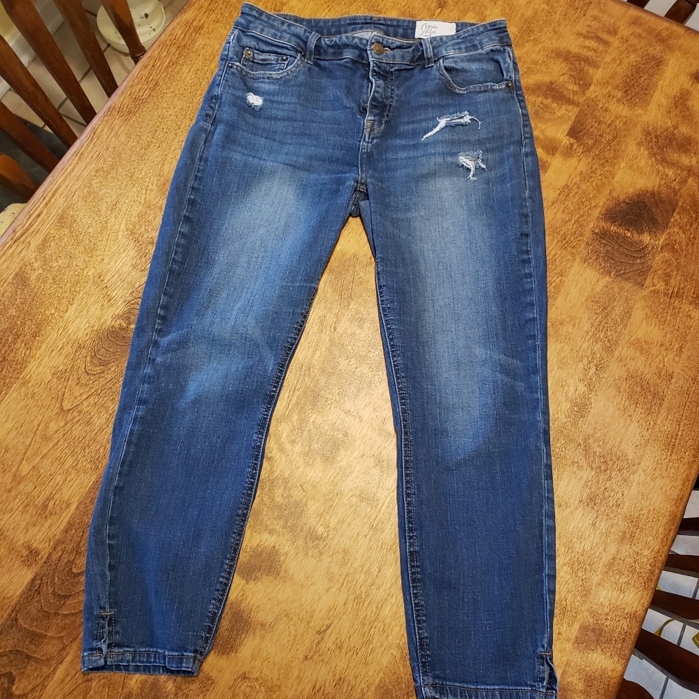 Cosmic Blue Love Crop Skinny Jeans
